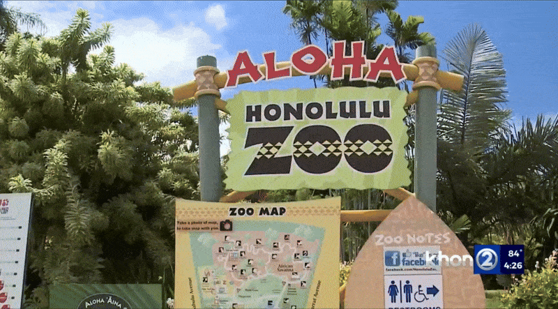 Say Aloha to the New Honolulu Zoo App
